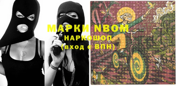 прущие грибы Баксан