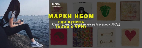 прущие грибы Баксан