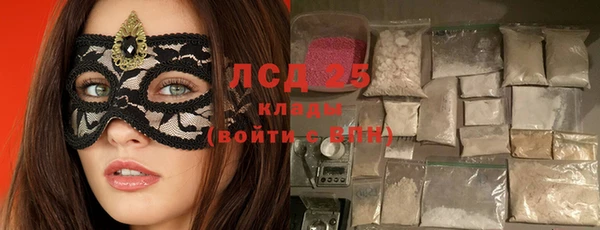 прущие грибы Баксан
