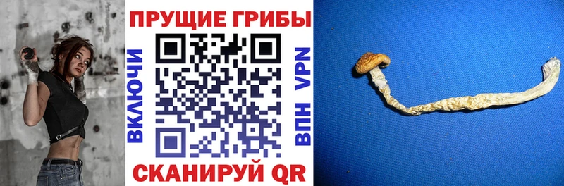 Псилоцибиновые грибы ЛСД  цена   Серов 